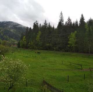 Гостевой дом Na Horbyku Татаров Двухместный номер с 1 кроватью и видом на горы-1