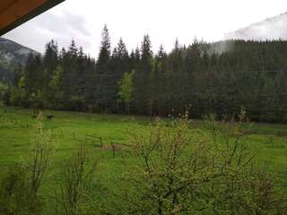 Гостевой дом Na Horbyku Татаров Двухместный номер с 1 кроватью и видом на горы-2