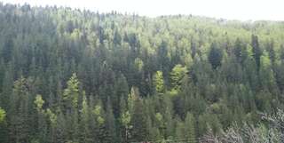 Гостевой дом Na Horbyku Татаров Двухместный номер с 1 кроватью и видом на горы-9