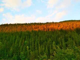 Гостевой дом Na Horbyku Татаров Двухместный номер с 2 отдельными кроватями и видом на горы-1