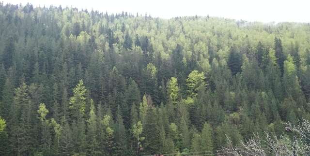 Гостевой дом Na Horbyku Татаров-13